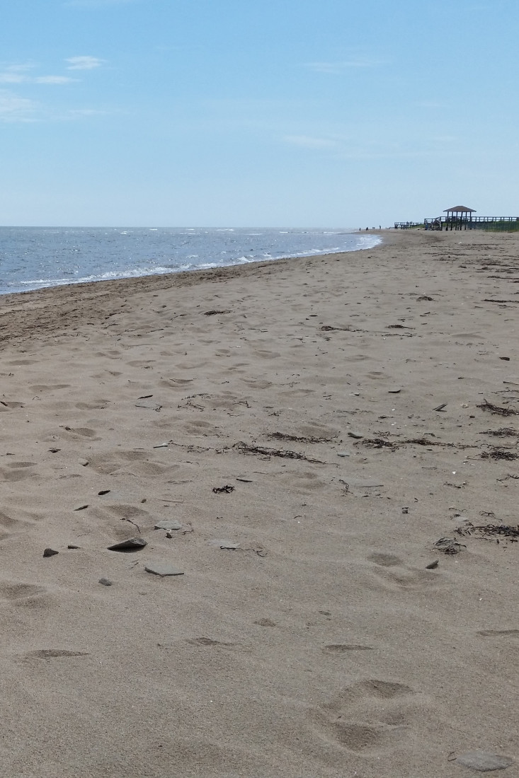 Knitter Spotlight: wheelswife on Ravelry