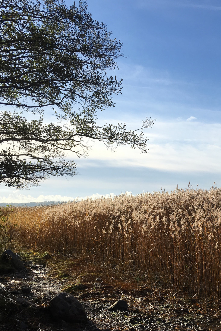 Knitter Spotlight: koukutettu on Ravelry